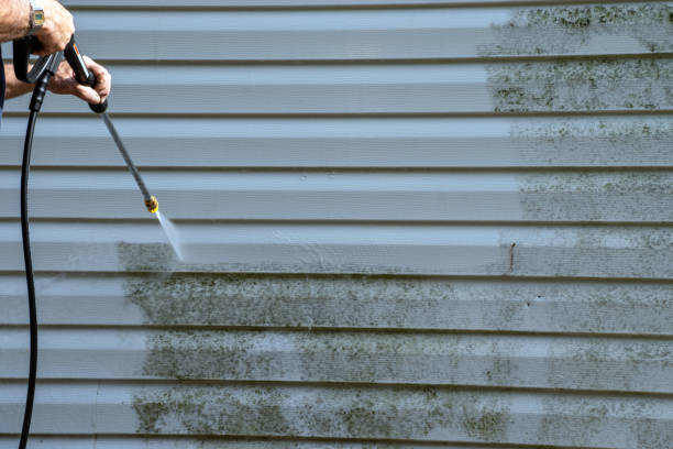 Best Shed Removal  in Chester, NY